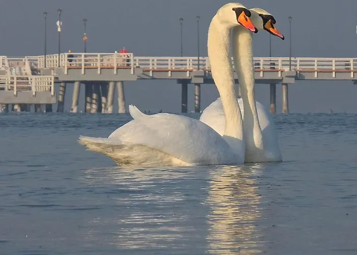 Ogarna 2 -bedroom - Old Town Γκντανσκ