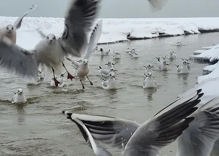 Ogarna 2 -bedroom - Old Town Danzig