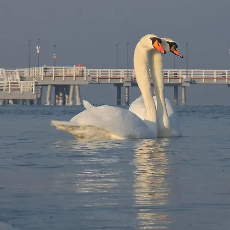Ogarna 2 -bedroom - Old Town Гданьск