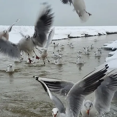 Ogarna 2 -bedroom - Old Town Гданьск